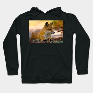 Red Fox Hoodie